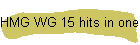 HMG WG 15 hits in one day